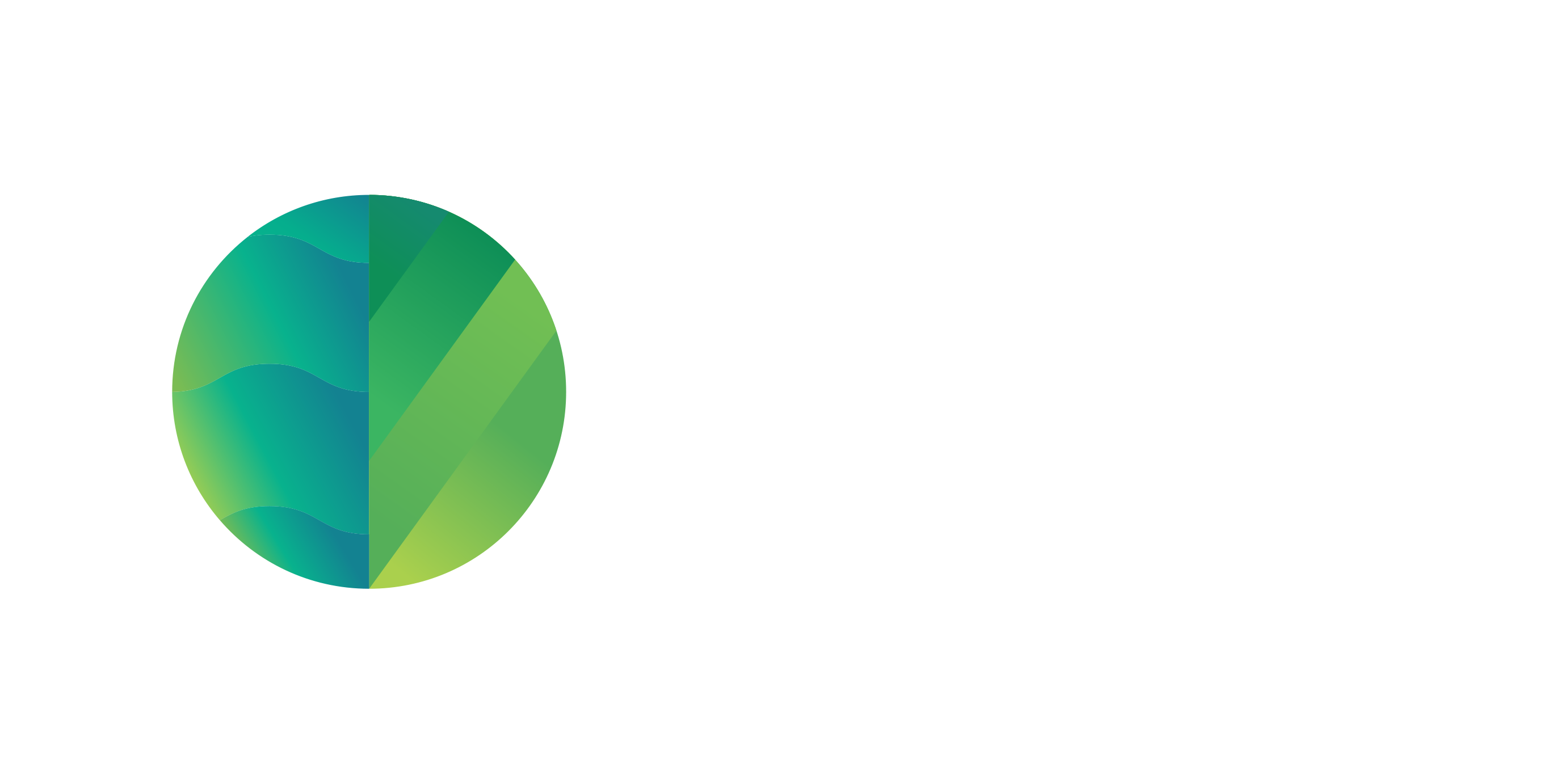 Sustainable Travel Finland logo